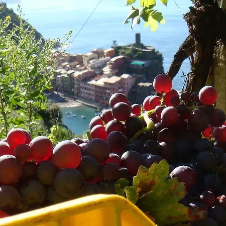 Casa Vacanze Zia Maria Διαμέρισμα Βερνάτσα