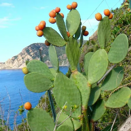 Διαμέρισμα Casa Vacanze Zia Maria *